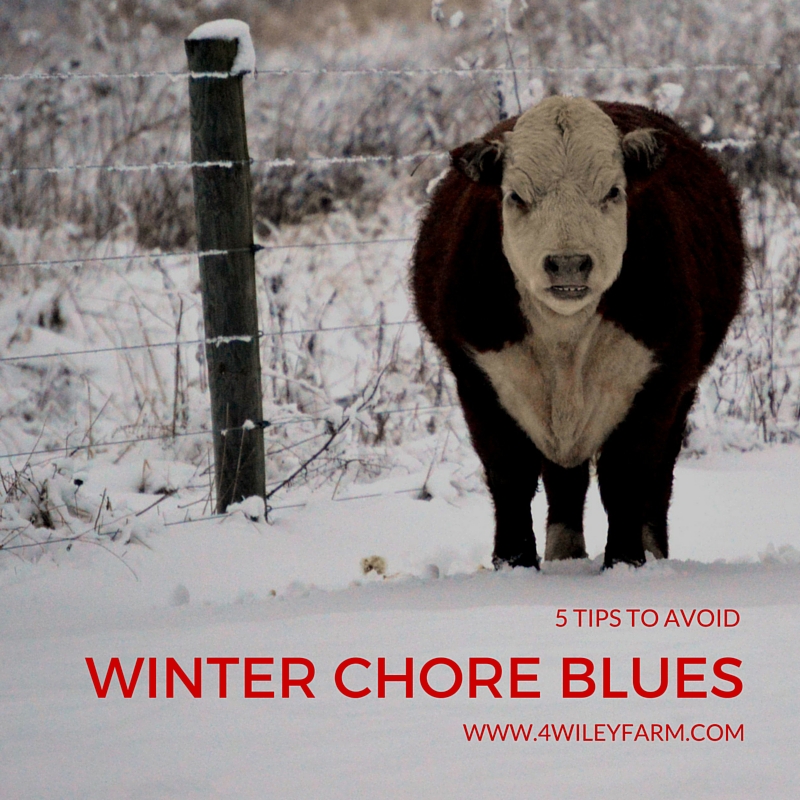 5 tips to avoid winter chore blues