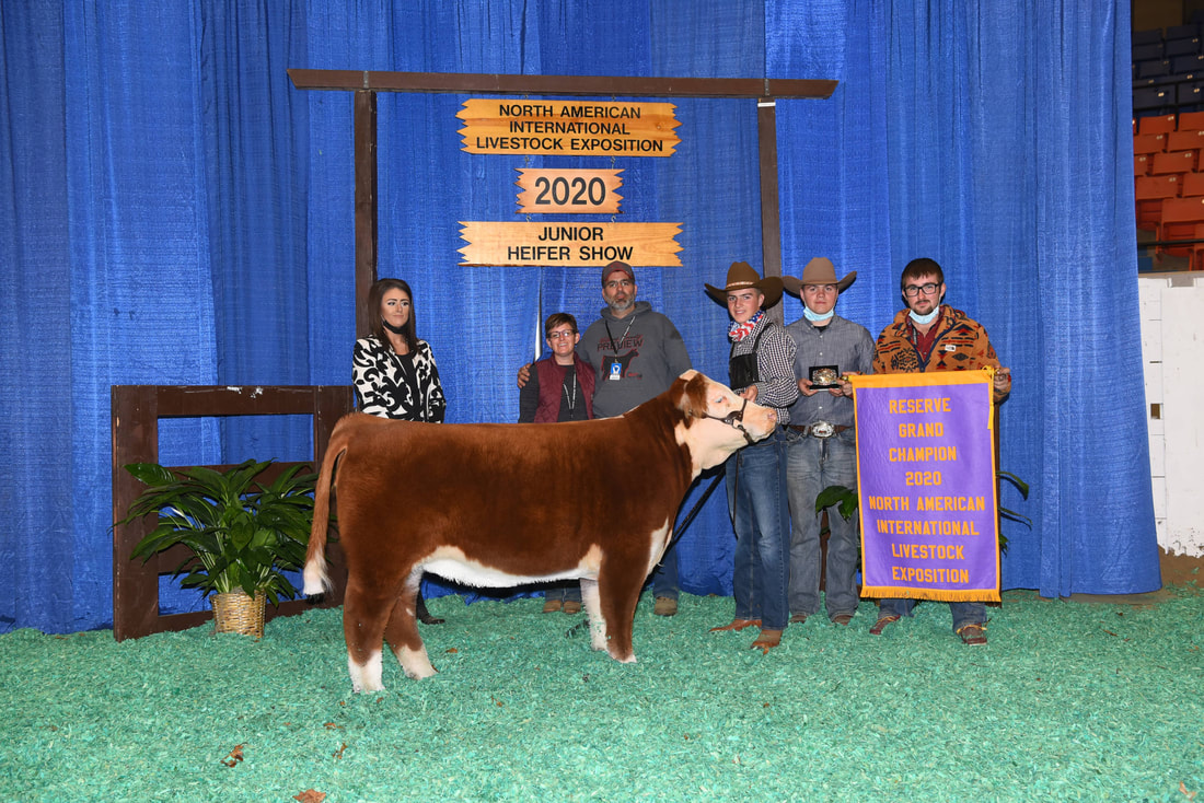 2020 NAILE Junior Reserve Champion Heifer, 4 Wiley Mountain Candy