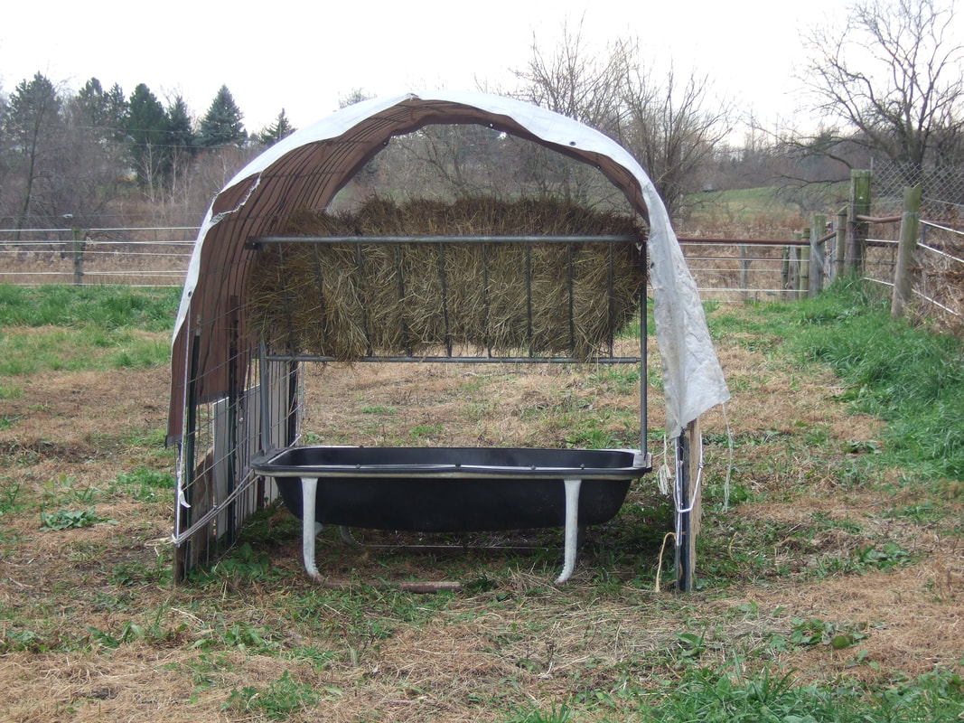 DIY cattle panel shelter