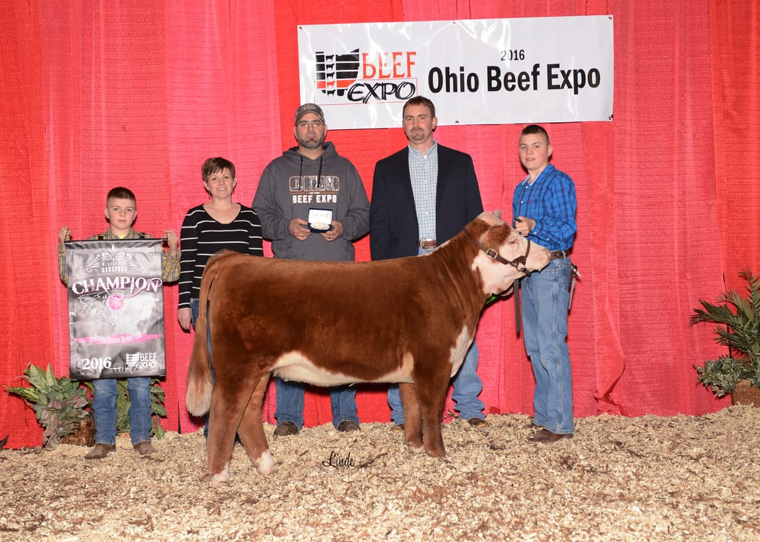 TAX Six Queens 2016 Ohio Beef Expo Reserve Grand Champion