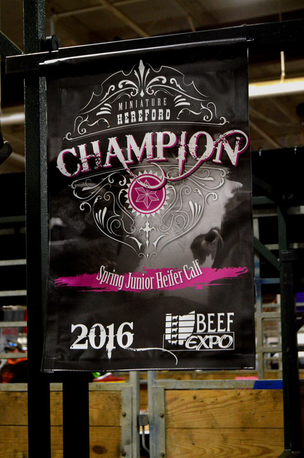 Division Champion banner
