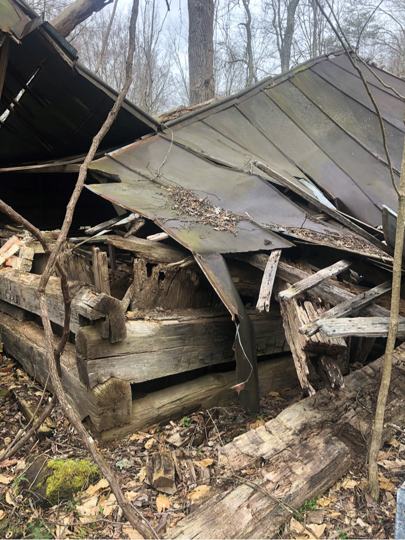 Collapsed cabin in the woods